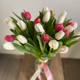 Букет из 25 тюльпанов от интернет-магазина «Эдельвейс» в Саранске